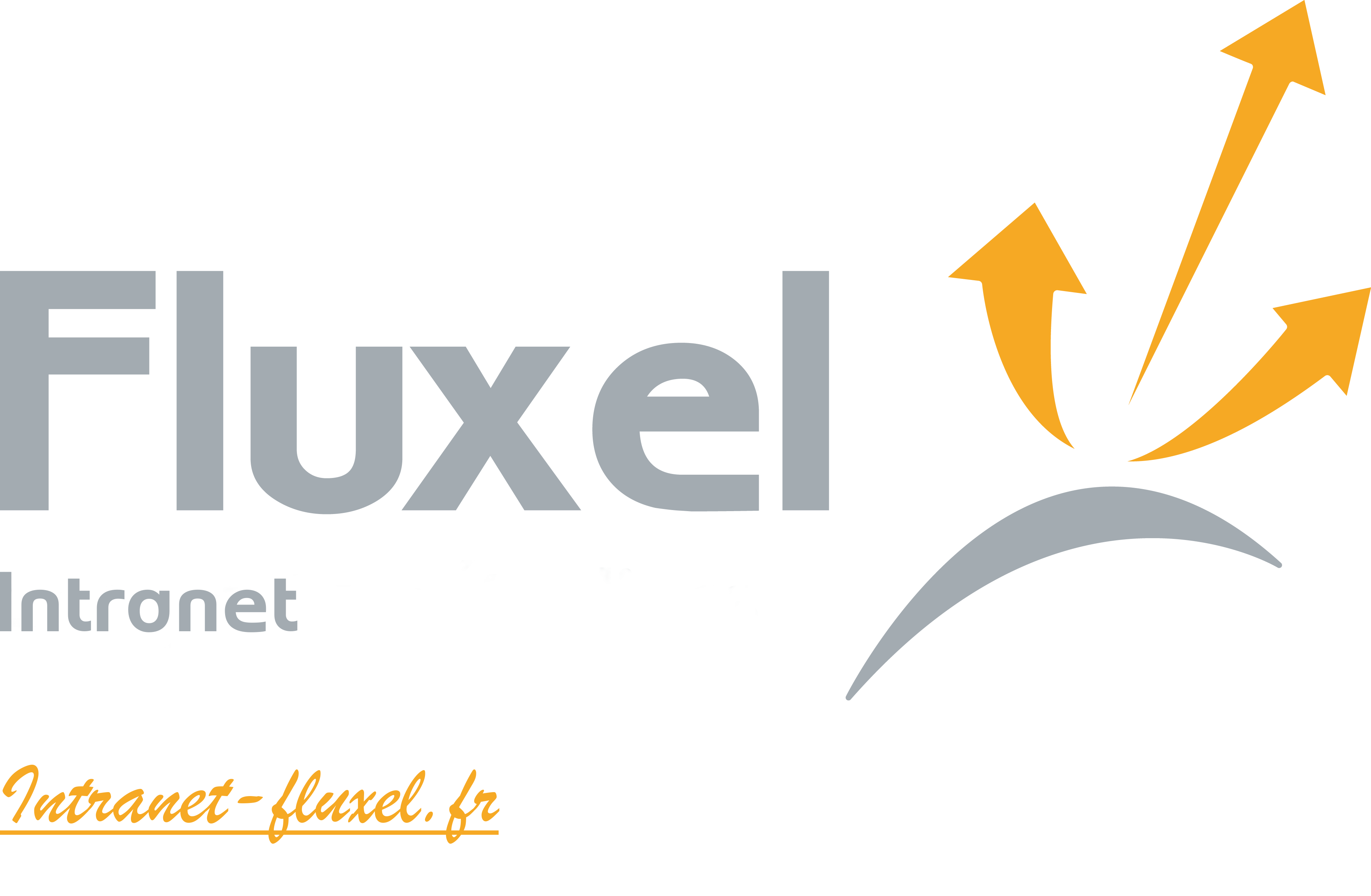 Fluxel